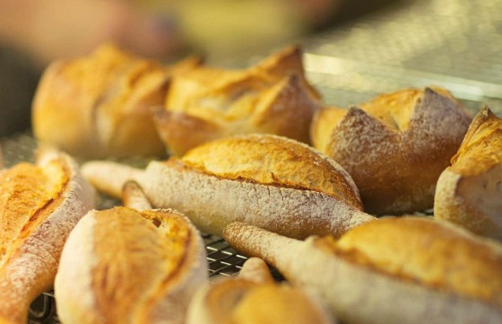 Study On The Stability Of Sucralose In Bread feature image